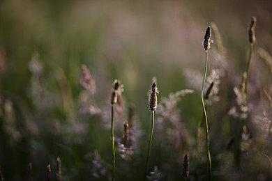 《光环：无限》新生涯军衔系统 本月随第4赛季上线